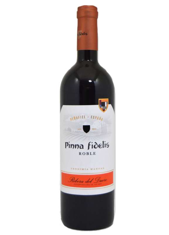  Pinna Fidelis  2023 - 6 Uds.