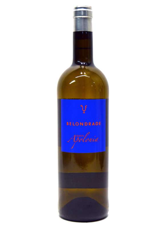  Quinta Apolonia 2024 - 6 Uds. 