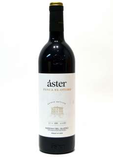 Aster Finca El Otero