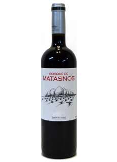 Bosque de Matasnos