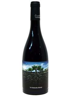 Garnacha Salvaje del Moncayo