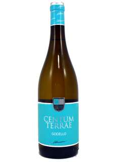 Λευκοί οίνοι Centum Terrae Godello