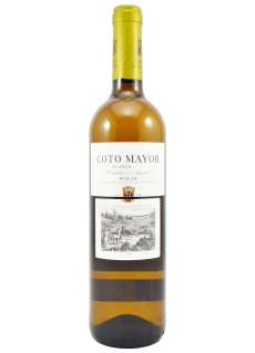 Λευκοί οίνοι Coto Mayor Sauvignon Blanc