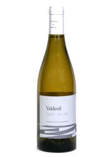 Λευκοί οίνοι Valdesil