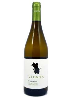 Λευκοί οίνοι Vionta Godello